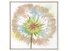 Paragon Florals Dandelion-IV Canvas Wall Art