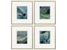 Paragon Color Candy-II Wall Art Set of 4