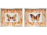 Paragon Animals Flight Patterns-II Shadow Box Set of 2