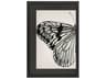 Paragon Animals Grand Butterfly-I Wall Art