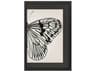 Paragon Animals Grand Butterfly-II Wall Art
