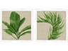 Paragon Palm Isle-II Wall Art Set of 2