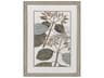 Paragon Florals Flowering Botanical-I Wall Art