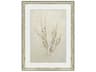 Paragon Florals Whispering Grasses-III Wall Art