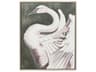 Paragon Animals Swan Dance-II Canvas Wall Art