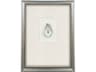 Paragon Oyster In Paradise I Shadow boxes
