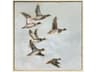 Paragon Mallard I Migration Canvas Wall Art