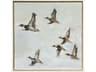 Paragon Mallard II Migration Canvas Wall Art