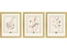 Paragon Garden Study I Framed Art - Set of 3