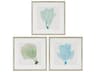 Paragon Naturals Sea Fan-I Wall Art Set of 3