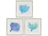 Paragon Naturals Sea Fan-II Wall Art Set of 3
