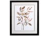 Paragon Florals Autumn Leaves-II Wall Art