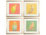 Paragon Florals Colorful Bird-B Wall Art Set of 4