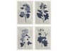 Paragon Florals Pressed Flower-II Wall Art Set of 4