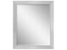 Paragon Metallic Rectangular Wall Mirror