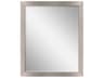 Paragon Metallic Rectangular Wall Mirror