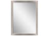 Paragon Metallic Rectangular Wall Mirror
