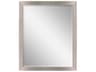 Paragon Metallic Rectangular Wall Mirror