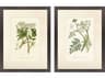 Paragon Florals Queen's Lace-I Wall Art Set of 2