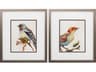 Paragon Florals Eco Bird Wall Art Set of 2