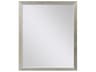 Paragon Beveled Rectangular Wall Mirror