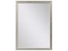Paragon Beveled Rectangular Wall Mirror