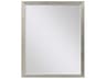 Paragon Beveled Rectangular Wall Mirror