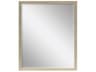 Paragon Beveled Rectangular Wall Mirror