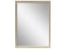 Paragon Beveled Rectangular Wall Mirror