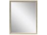 Paragon Beveled Rectangular Wall Mirror
