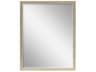 Paragon Beveled Rectangular Wall Mirror