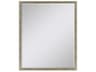 Paragon 180 Mirror Group Metallic Neutral Silvered Wall Rectangular Mirror