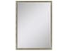 Paragon 180 Mirror Group Metallic Neutral Silvered Wall Rectangular Mirror