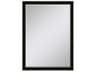 Paragon 535 Mirror Group Black Metallic Silvered Wall Rectangular Mirror