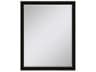 Paragon 535 Mirror Group Black Metallic Silvered Wall Rectangular Mirror
