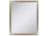 Paragon 790 Mirror Group Metallic Neutral Silvered Wall Rectangular Mirror