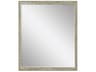 Paragon 549 Mirror Group Metallic Black Silvered Wall Rectangular Mirror