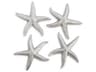 Phillips Collection Silver Leaf Starfish Medium 3D Wall Art Set of 4