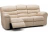 Palliser Durant Leather Upholstery Sofa Power Recliner