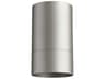 Quorum Cylinder 1-Light Graphite Silver Flush Mount