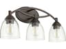 Quorum Barkley 3-Light Oiled Bronze Glass Vanity Light
