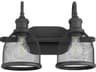 Quorum Omni 2-Light Noir Black Vanity Light