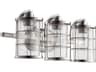 Quorum Ellis 3-Light Satin Nickel Glass Vanity Light
