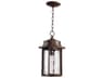 Quorum Charter 1 - Light Outdoor Hanging Light