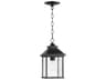 Quorum Pearson 1 - Light Outdoor Hanging Light