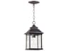 Quorum Pearson 1 - Light Outdoor Hanging Light