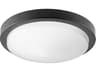 Quorum Titus 1-Light Matte Black LED Bowl Flush Mount