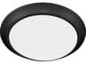 Quorum Outdoor Matte Black Ceiling Light