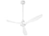 Quorum Marino 54" 1-Lights Outdoor Ceiling Fan