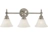 Framburg Taylor 3-Light Steel Glass Vanity Light